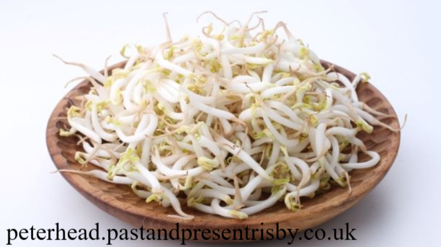 7 Keajaiban Toge untuk Tubuh Anda dan Cara Mengolahnya