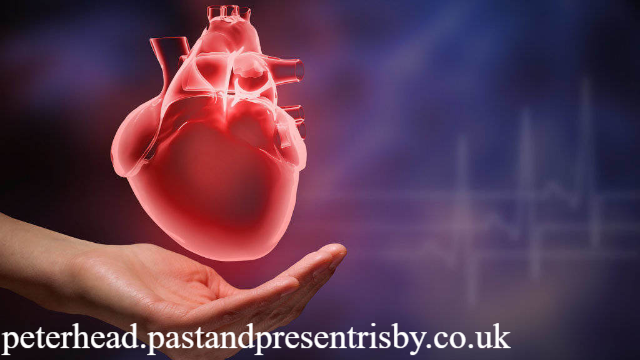 Jantung Organ Penuh Fungsi yang Menjaga Kehidupan