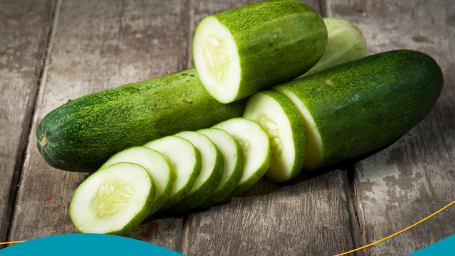 Khasiat Mentimun untuk Tubuh Sehat dan Kulit Cerah